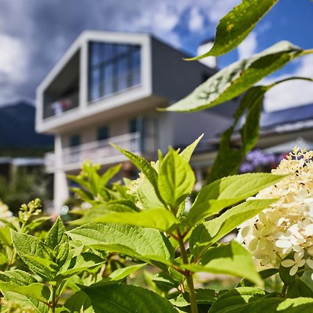Apartmenthaus Haringer Neustift Exterior foto