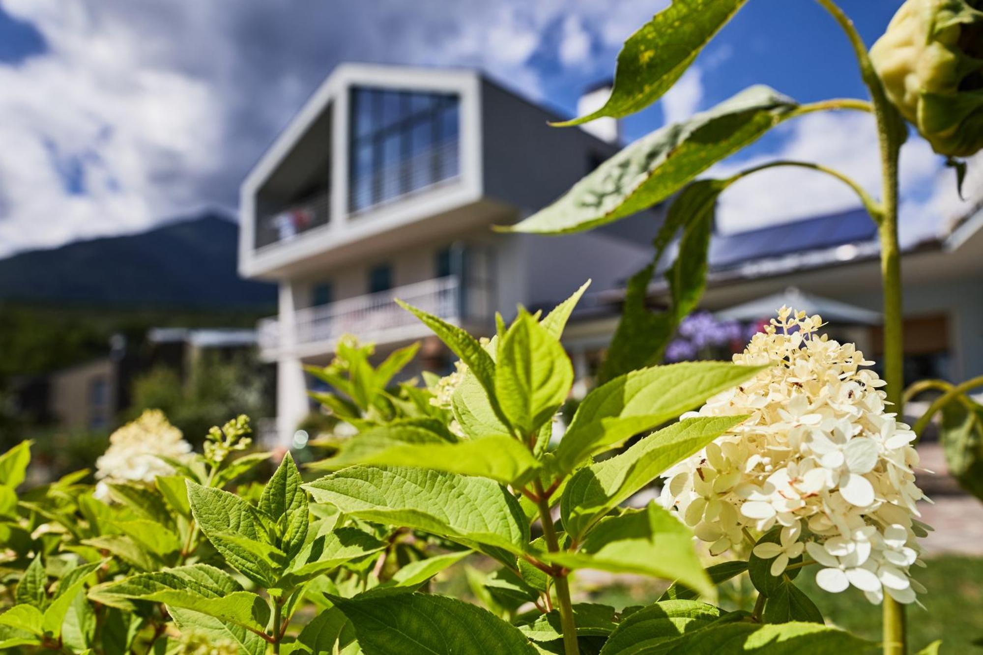 Apartmenthaus Haringer Neustift Exterior foto